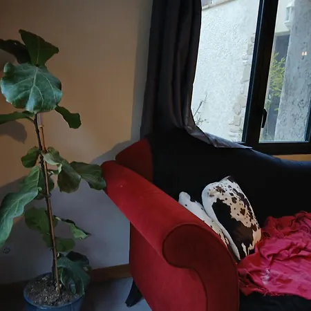 Eco Des Chênes Casa de Férias Colonzelle