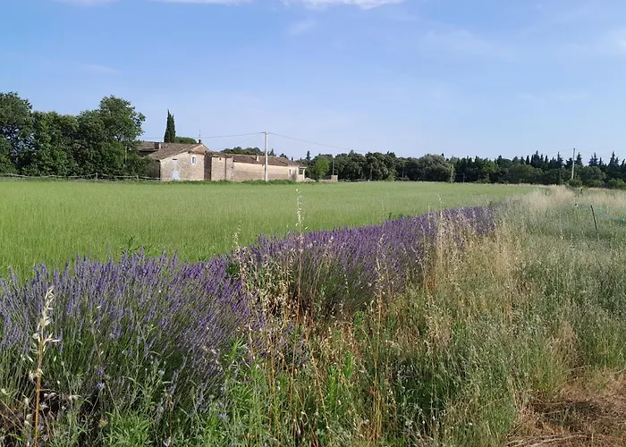 Eco Des Chênes Colonzelle